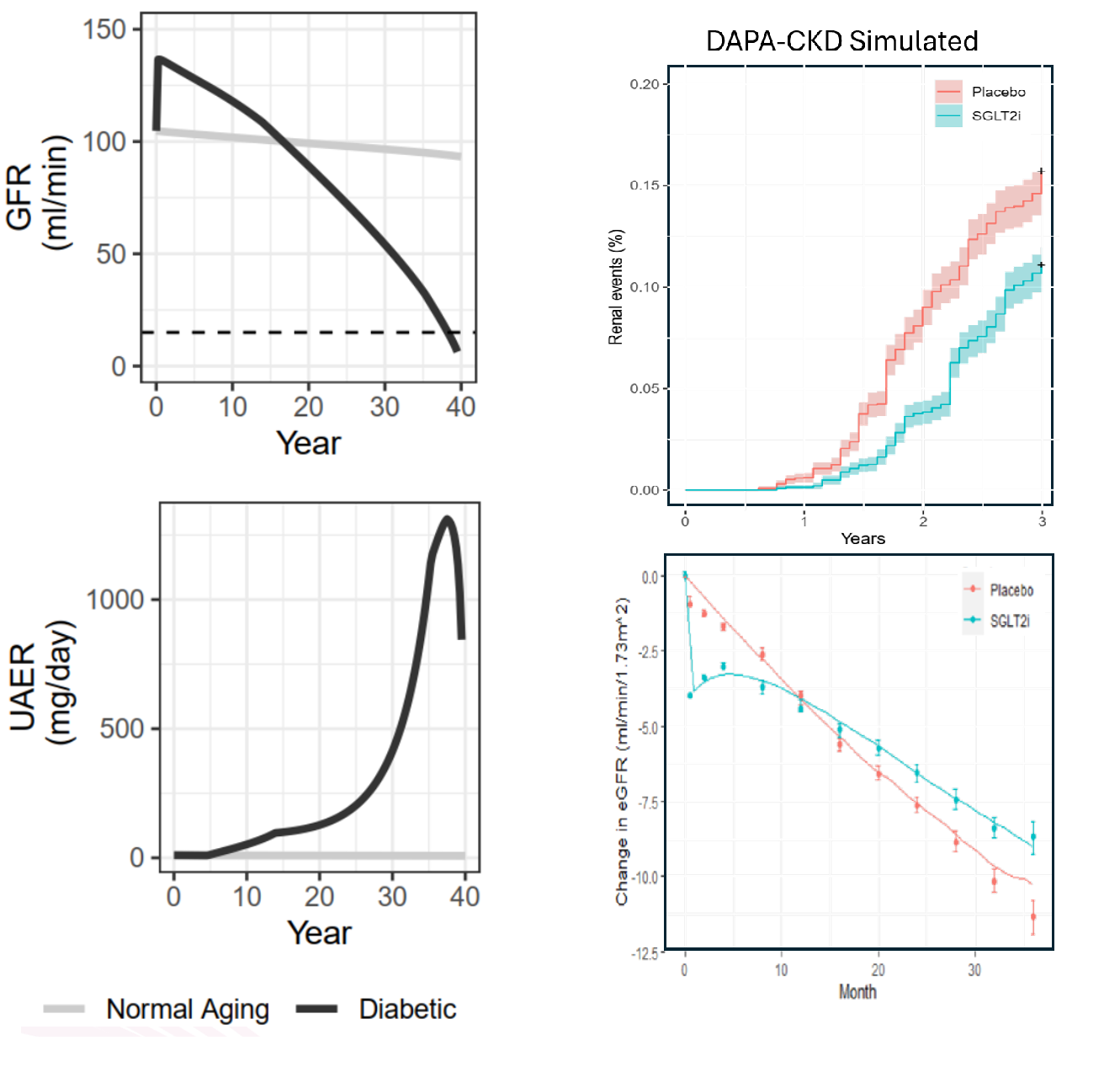 Chronic Kidney Disease Model Graphs