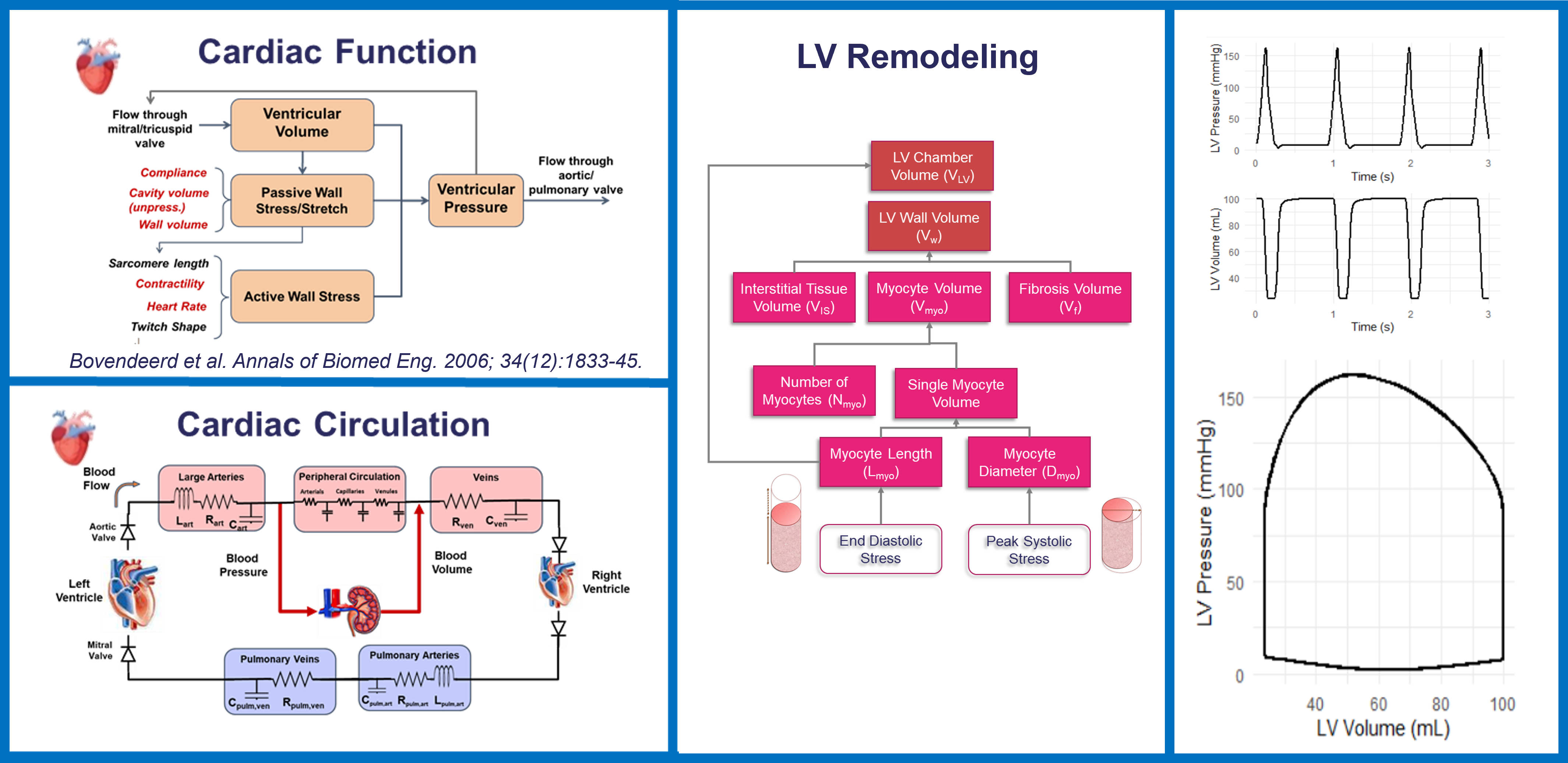 Cardiac-Kidney Model Diagram
