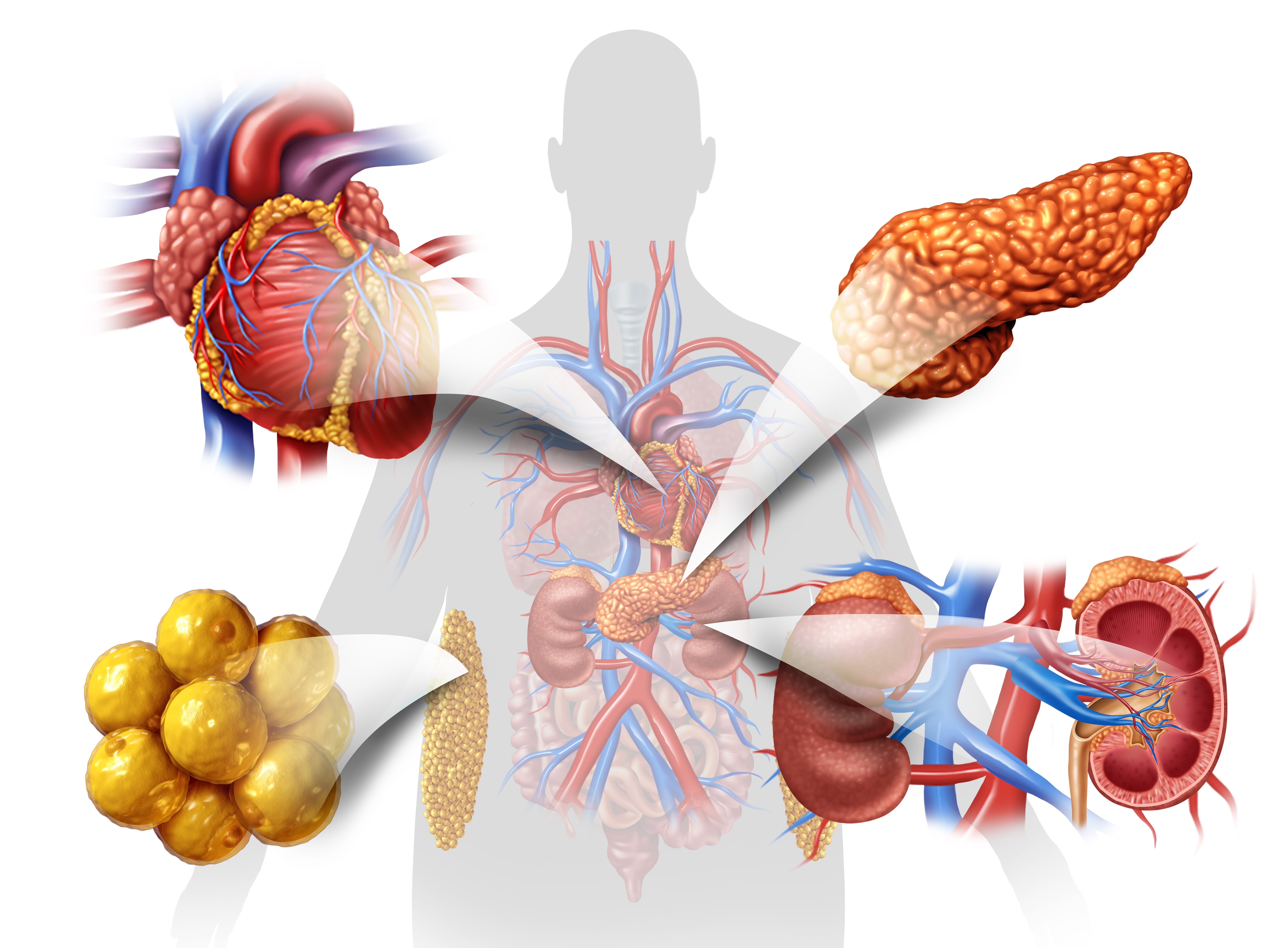 Cardiorenal Disease