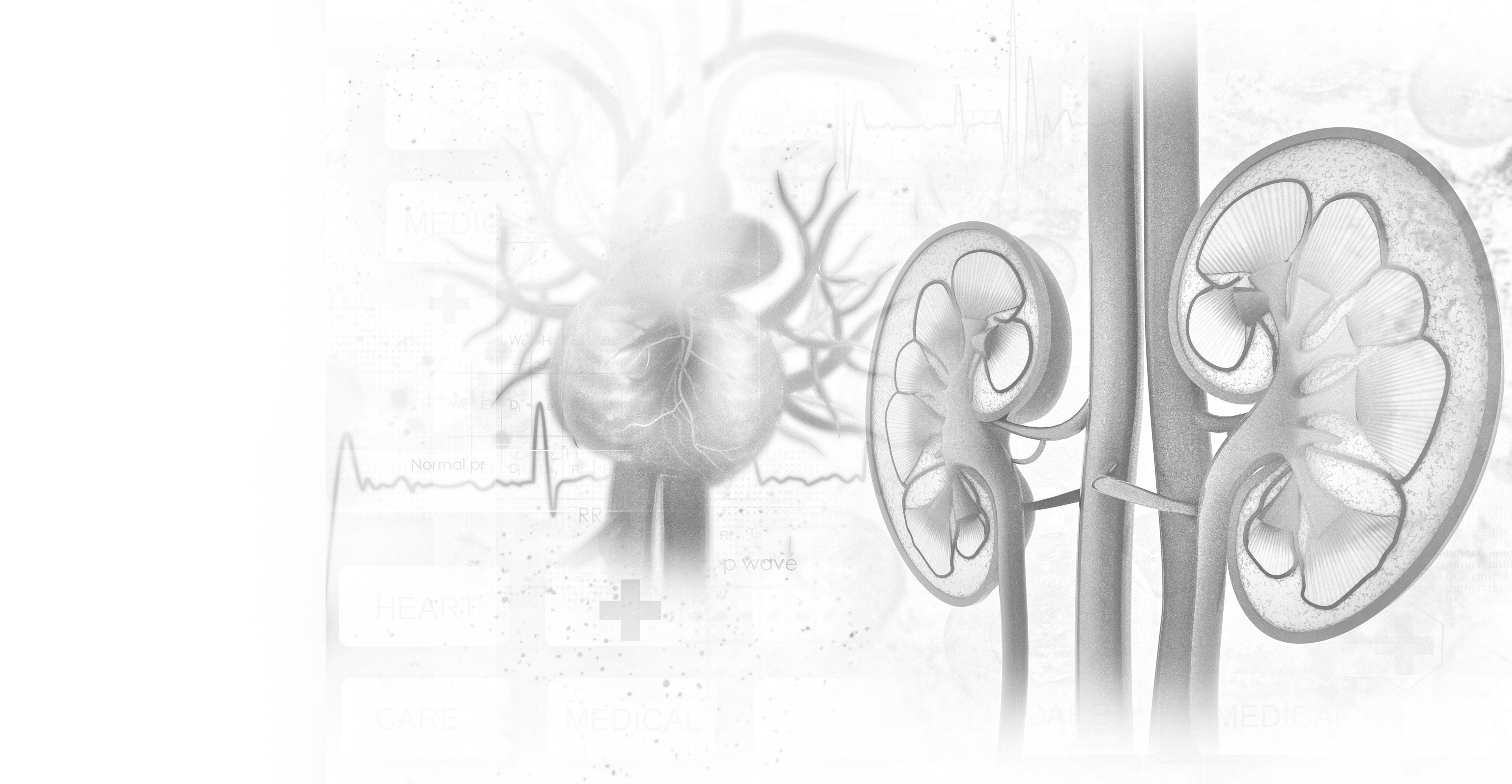 Cardiovascular Research