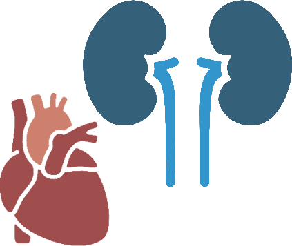 Cardiac-Kidney Model