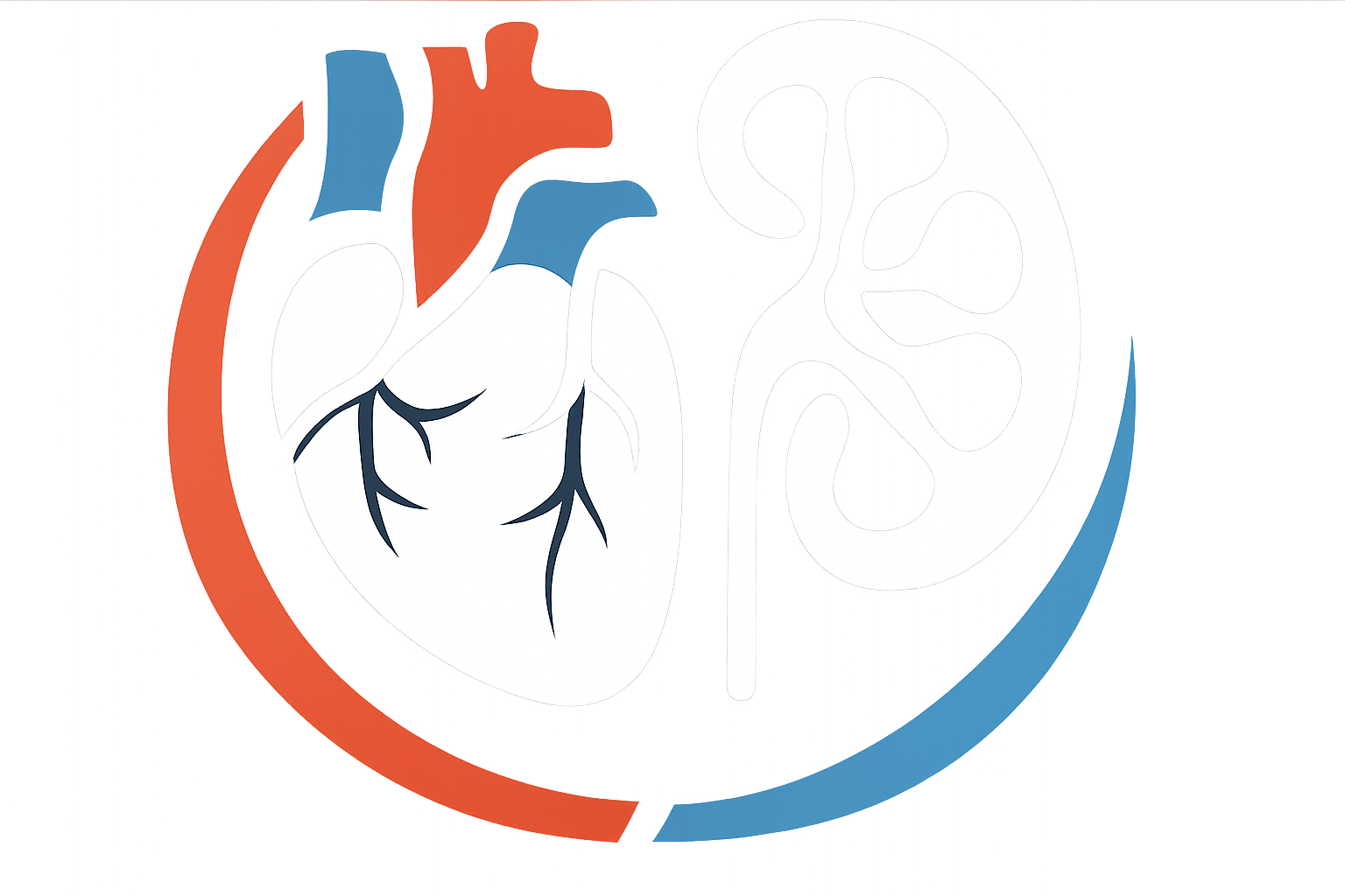 cardiorenalqsp